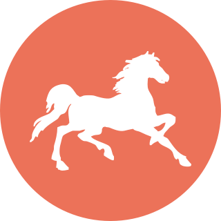 白马盘 – 网盘搜索引擎